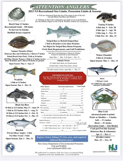 Daily New Jersey Fishing Reports (August 2024).